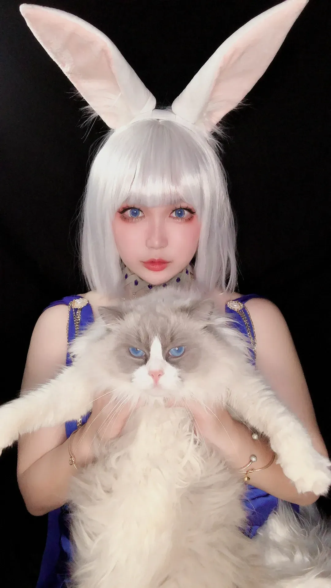 椒妮佐仁在黑色背景前抱猫正面出镜,白色短发兔耳头饰配蓝色无袖服装